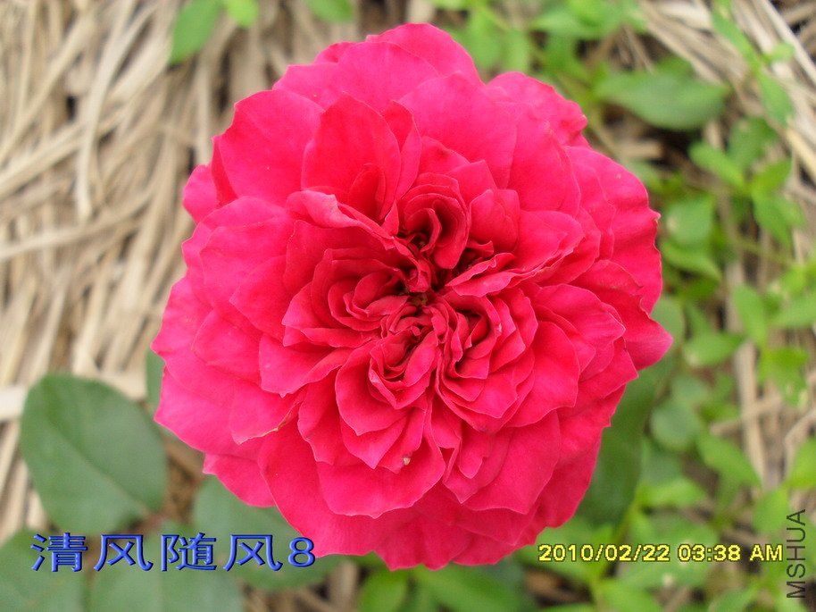 ��ɫ�����11 (7).jpg