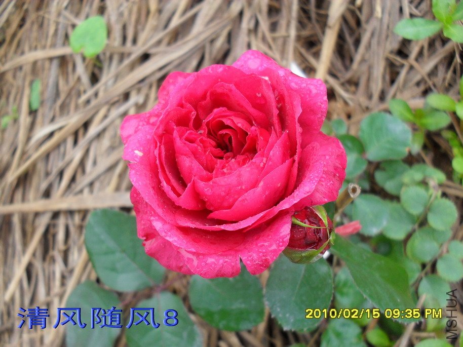 ��ɫ�����11 (2).jpg