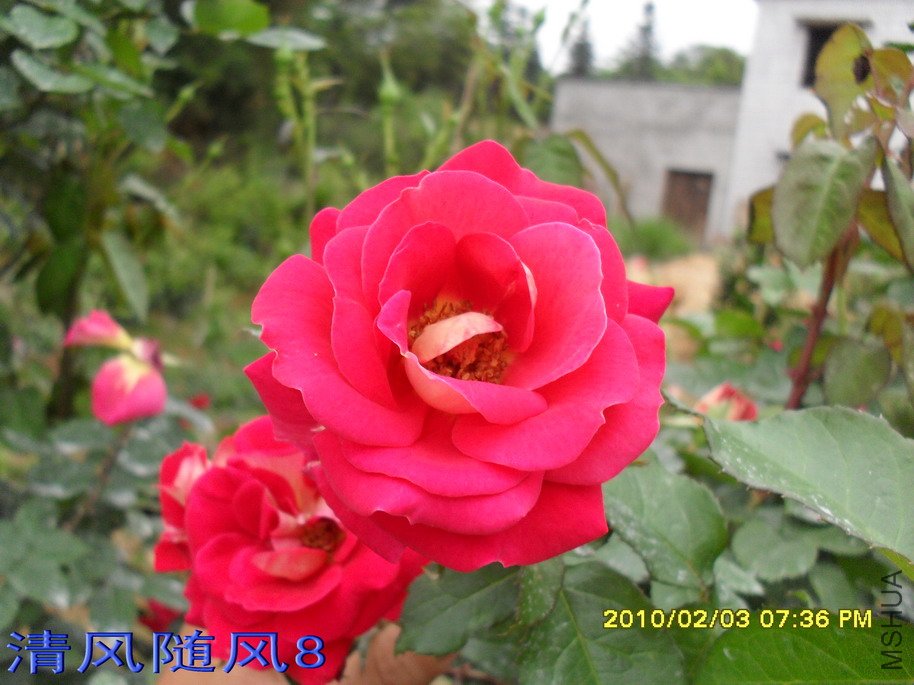 �𱳴���ľ״�¼�11 (2).jpg