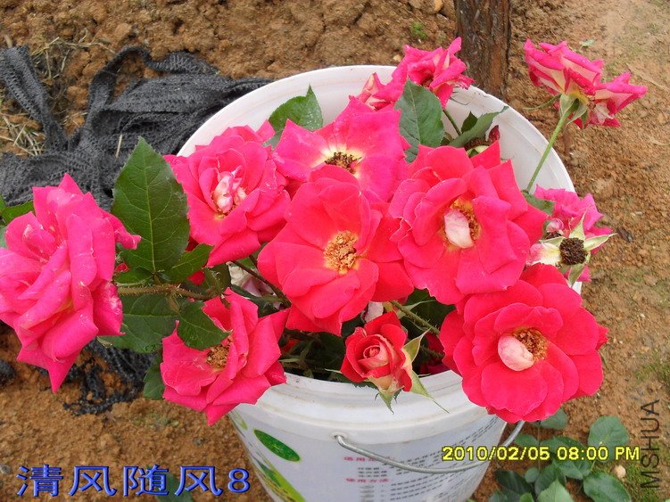 �𱳴���ľ״�¼�11 (9).jpg