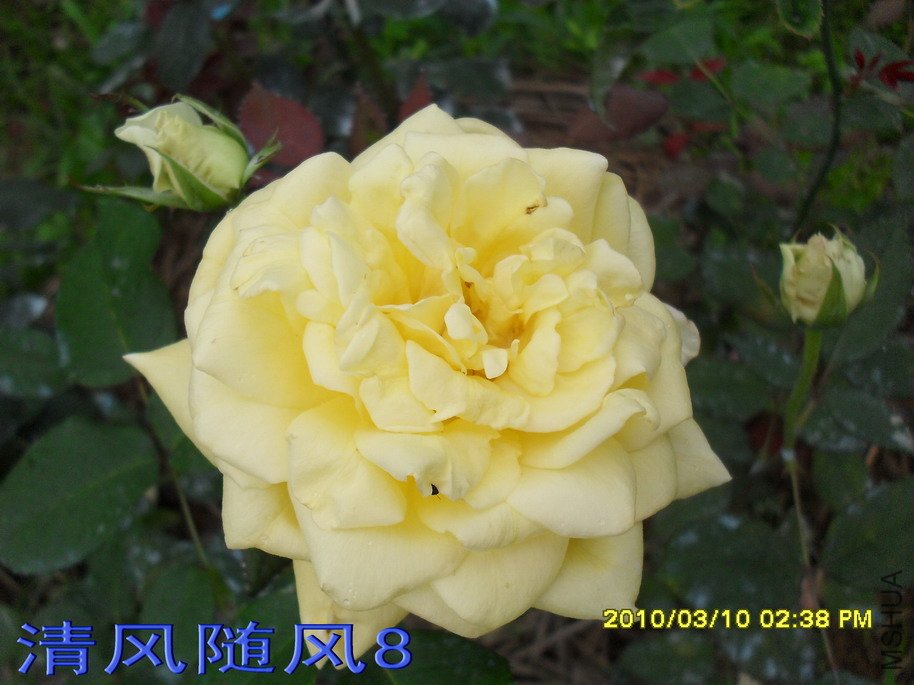 ������11 (2).jpg