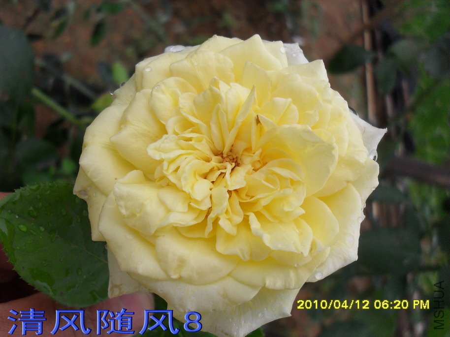 ������11 (8).jpg