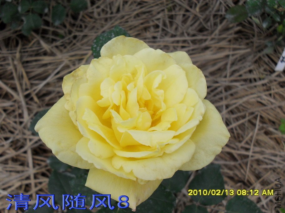 ������11 (4).jpg