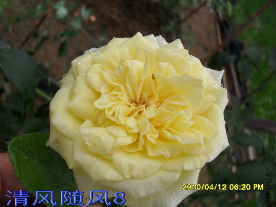 ������11 (7).jpg