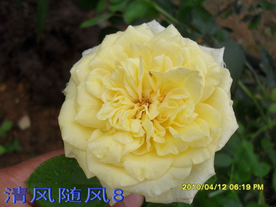 ������11 (5).jpg