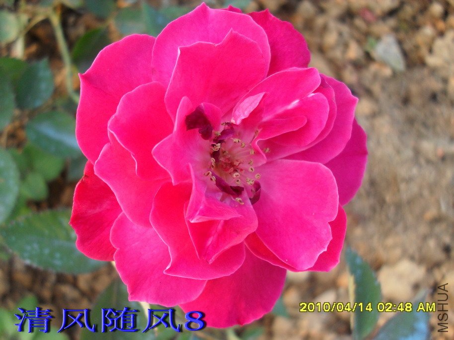 һֱ�ڿ��ģ�