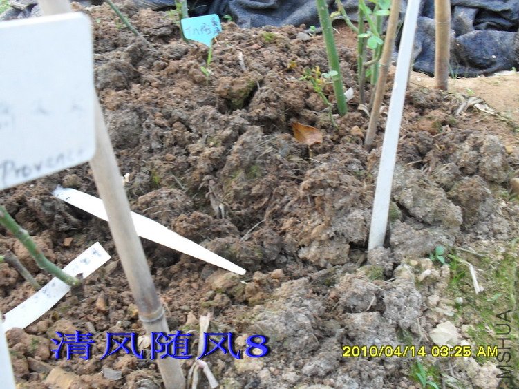 ����ȫ������