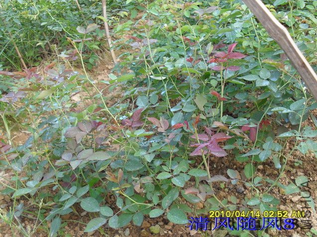 Ũ����õ��