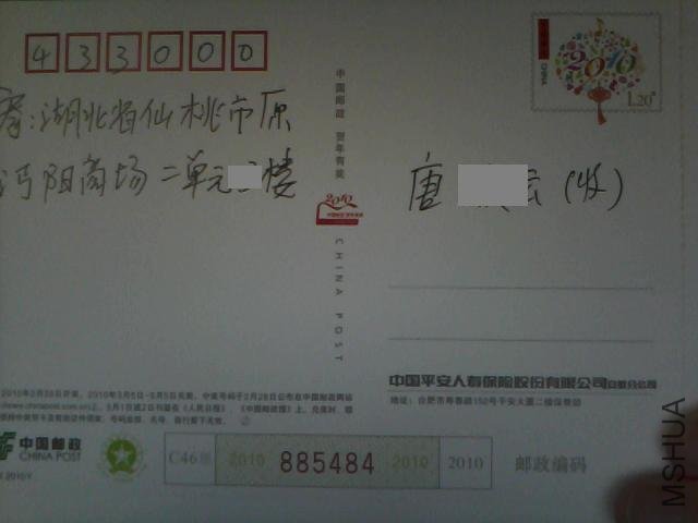 9194.jpg