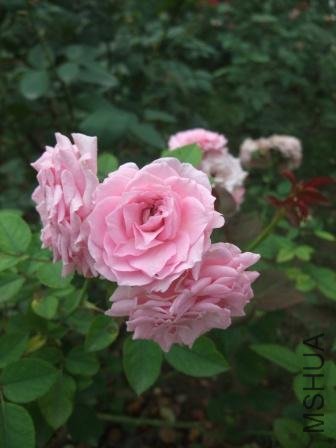 DSCF3144.JPG