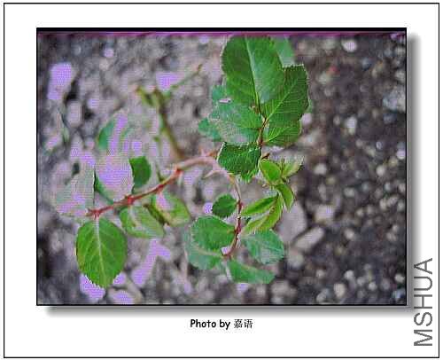 IMG_1392.jpg