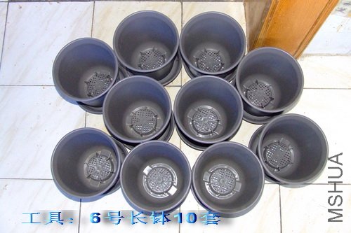 2010��9��19�� ��Ʒ׼��.jpg