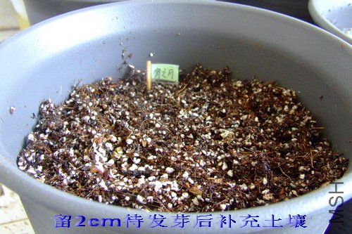 2010��9��19�� ����.jpg