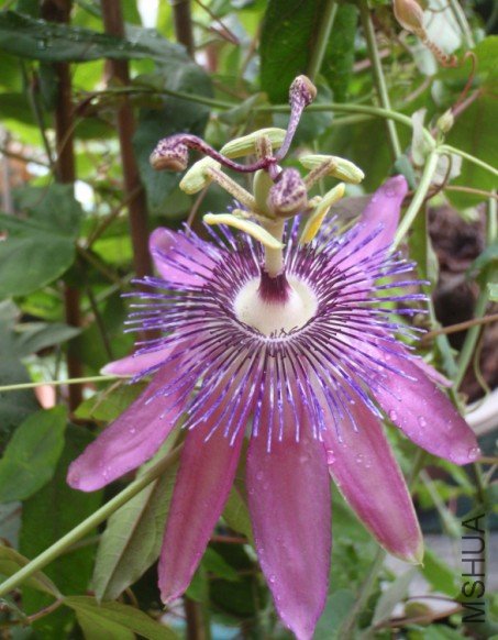 ��һ���죬���귴�ˡ�