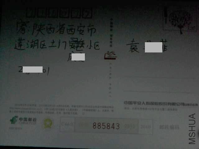 9215.jpg