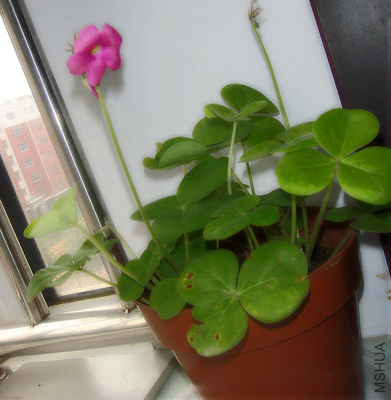 DSC03031.JPG