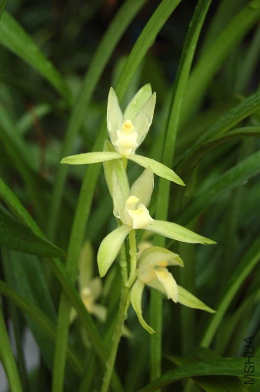 DSC_01080108.JPG