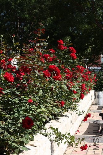 08.JPG