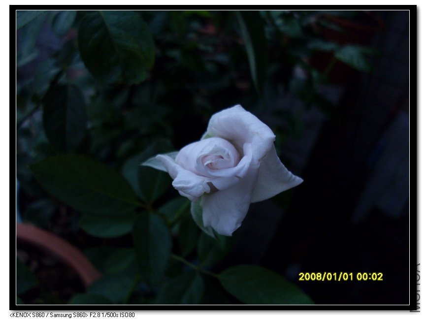 SDC15301_nEO_IMG.jpg