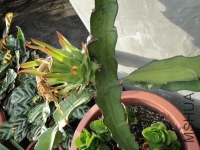 8��17�ŵĻ�����1.jpg