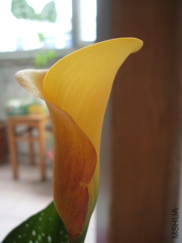 http_imgload12.jpg