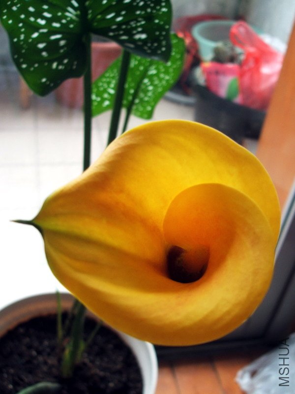 http_imgload19.jpg
