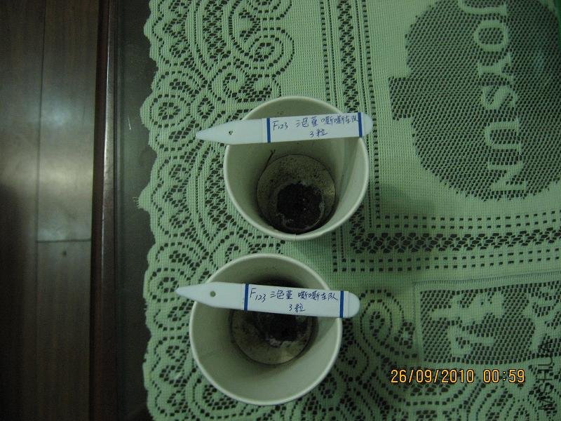 20100925��ɫ�� 003.jpg