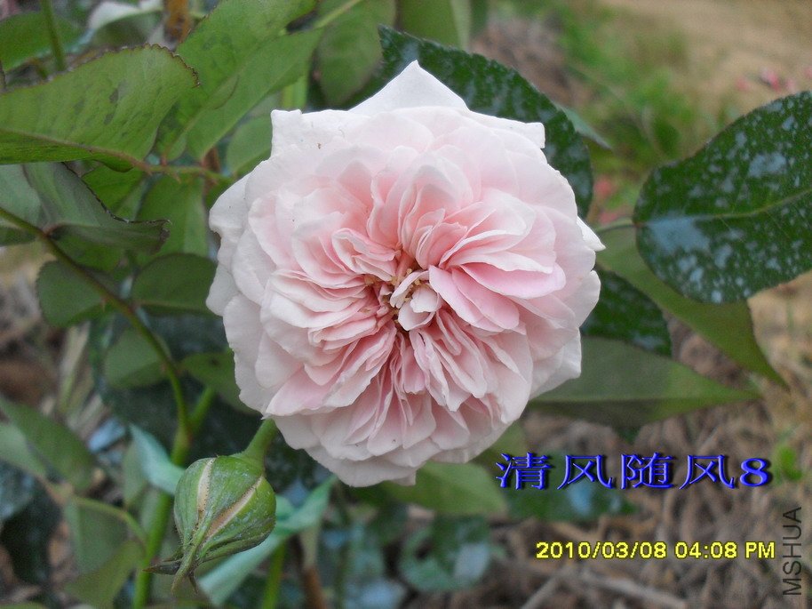 Ī��÷���ļ���11 (2).jpg