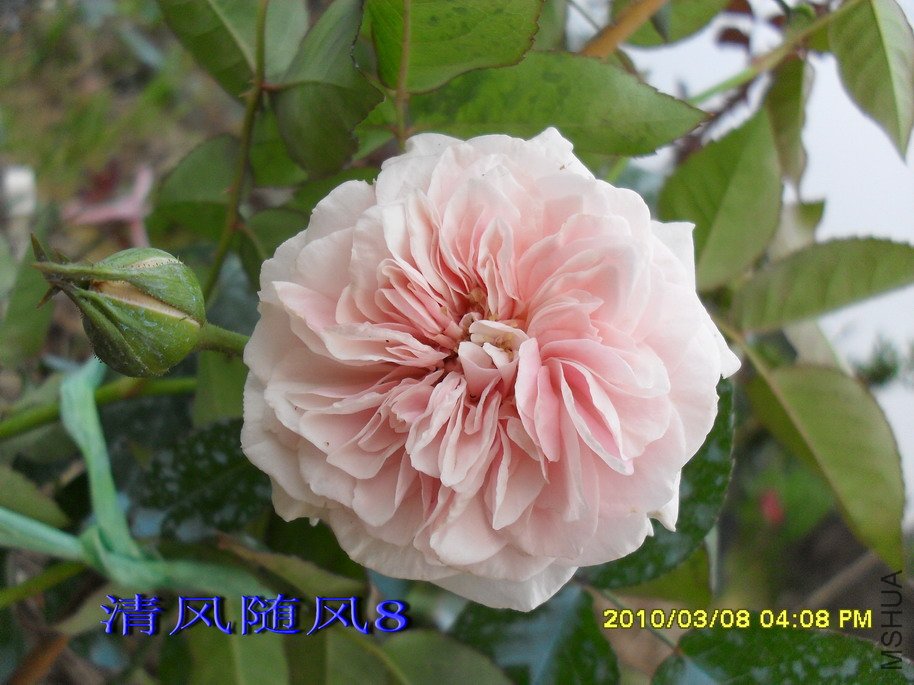 Ī��÷���ļ���11 (3).jpg