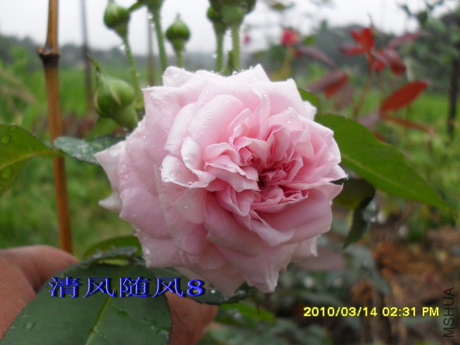 Ī��÷���ļ���11 (5).jpg