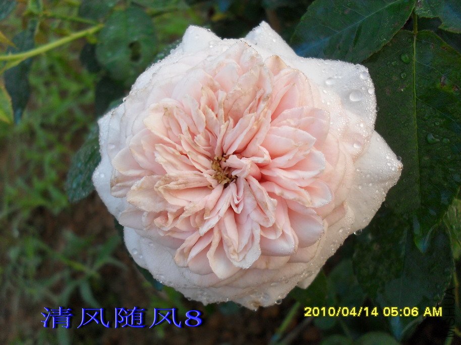 Ī��÷���ļ���11 (8).jpg