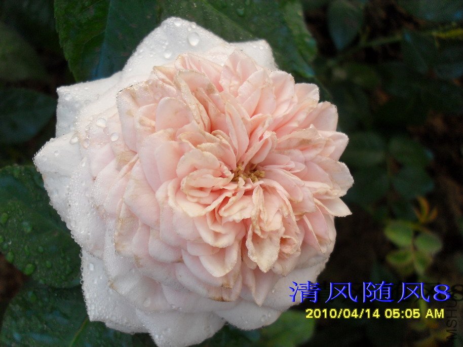 Ī��÷���ļ���11 (7).jpg