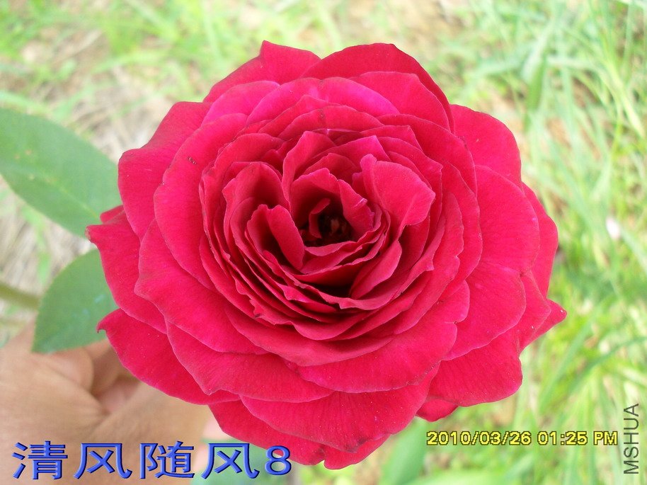 ŵ����12 (1).jpg