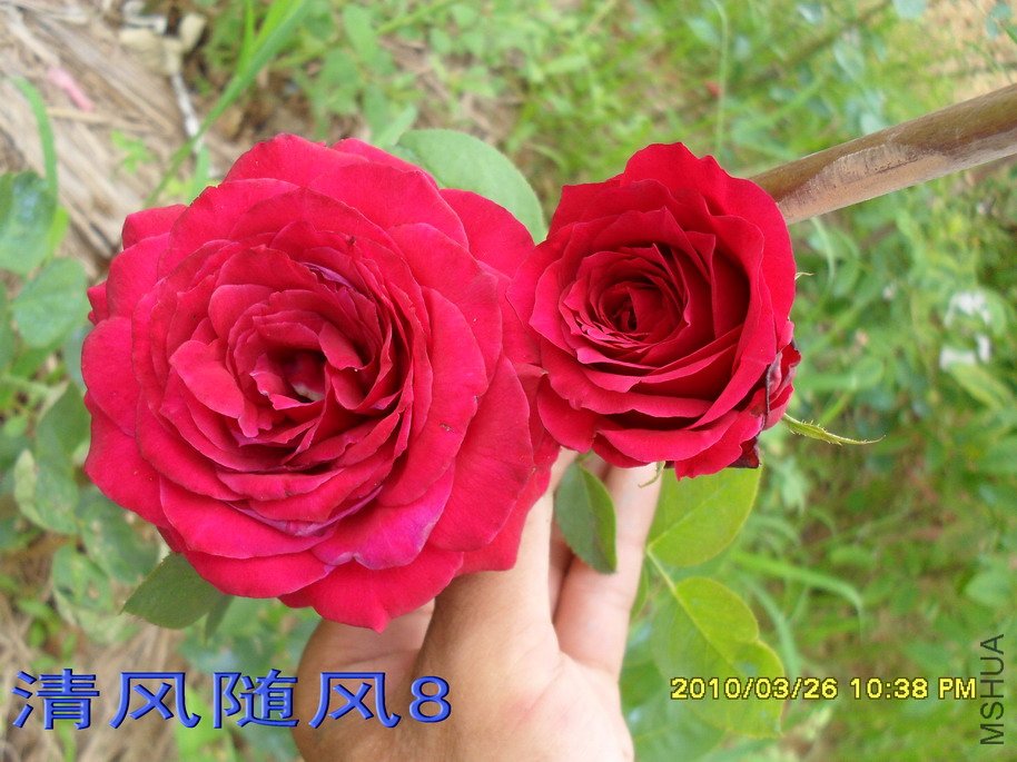 ŵ����12 (4).jpg