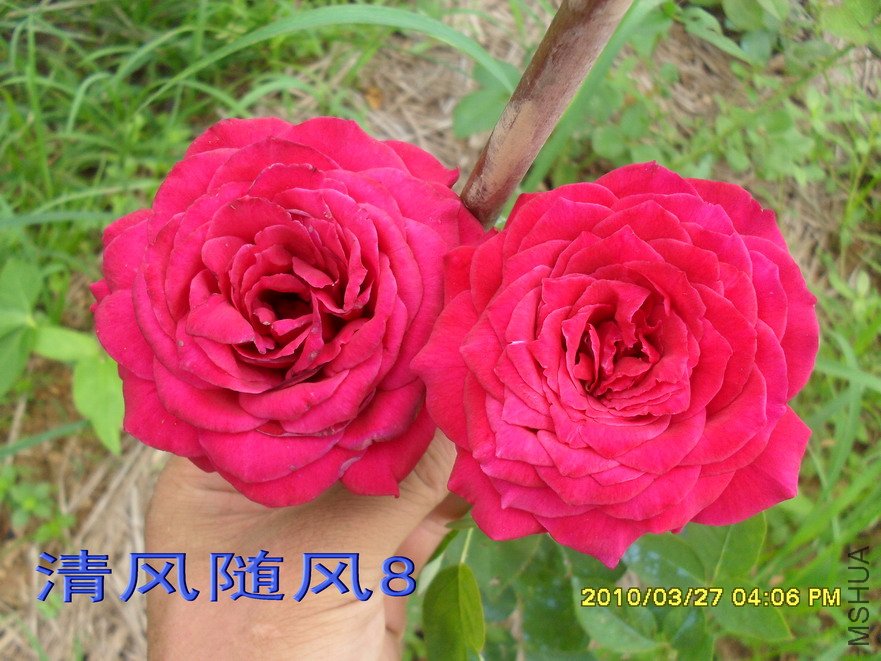 ŵ����12 (7).jpg