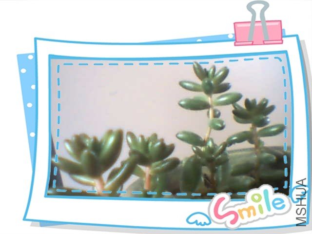 meitu  00091.jpg