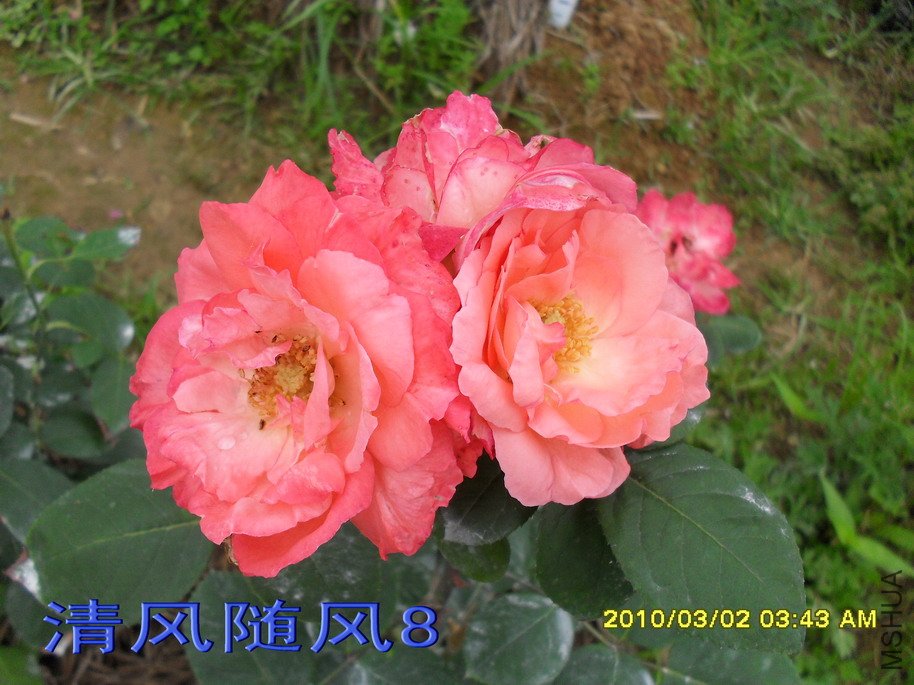 �ٷ۱�11 (6).jpg