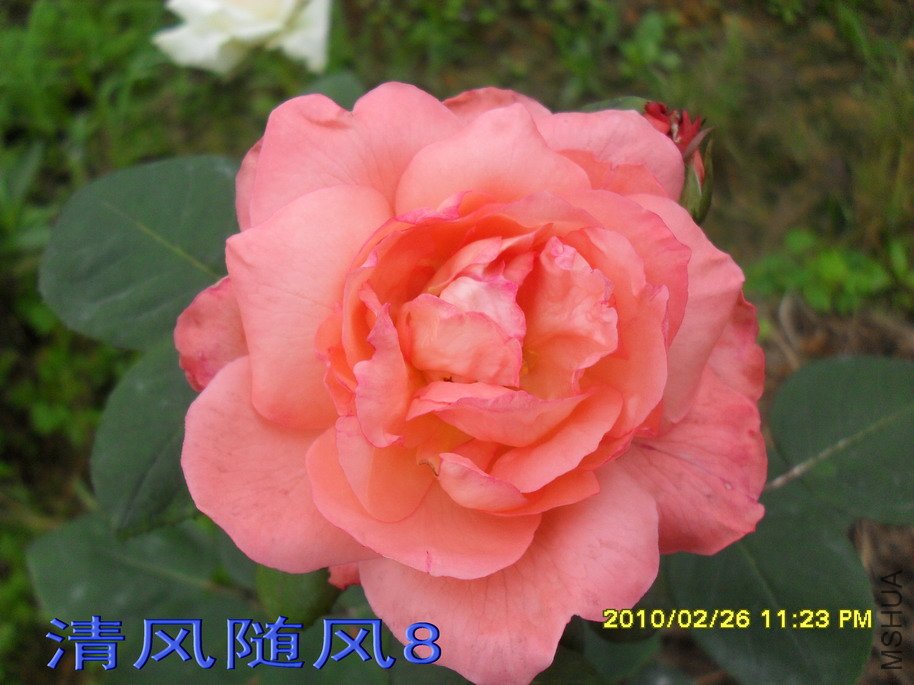 �ٷ۱�11 (2).jpg