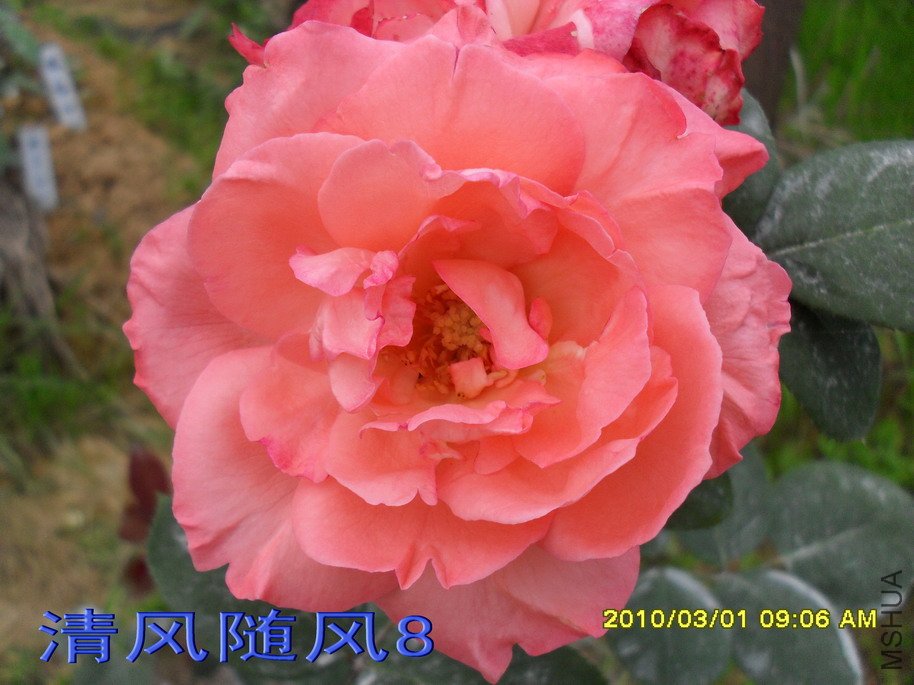 �ٷ۱�11 (4).jpg