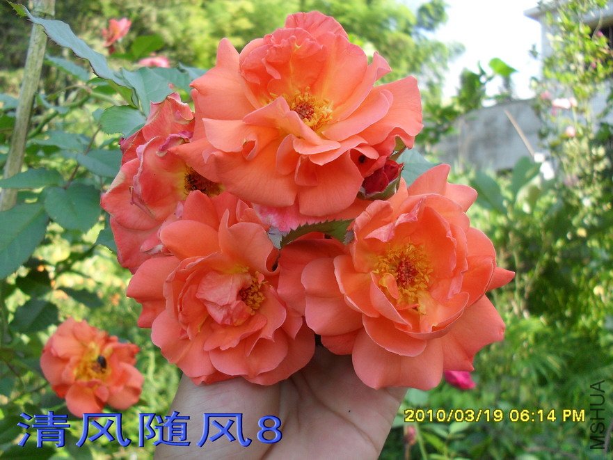 �������11 (6).jpg