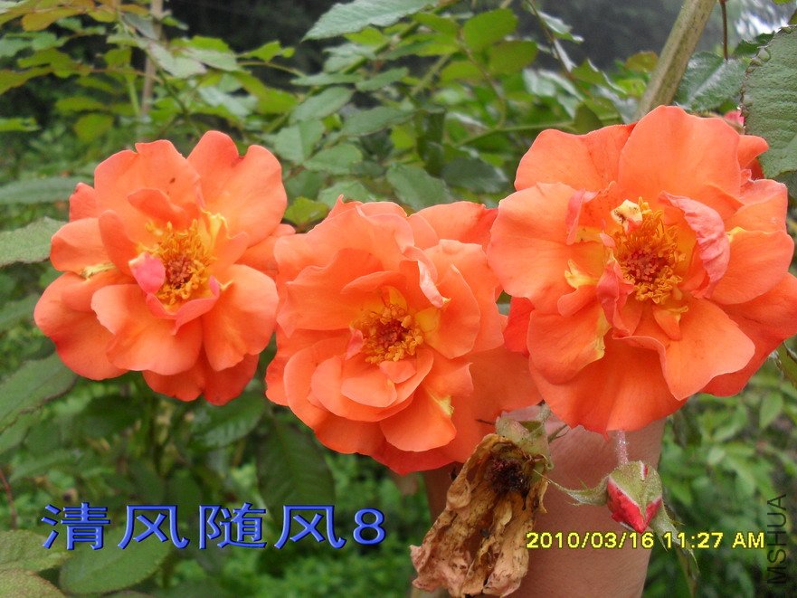 �������11 (2).jpg