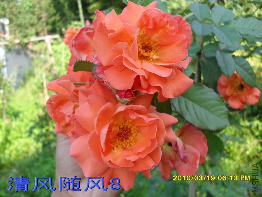 �������11 (4).jpg