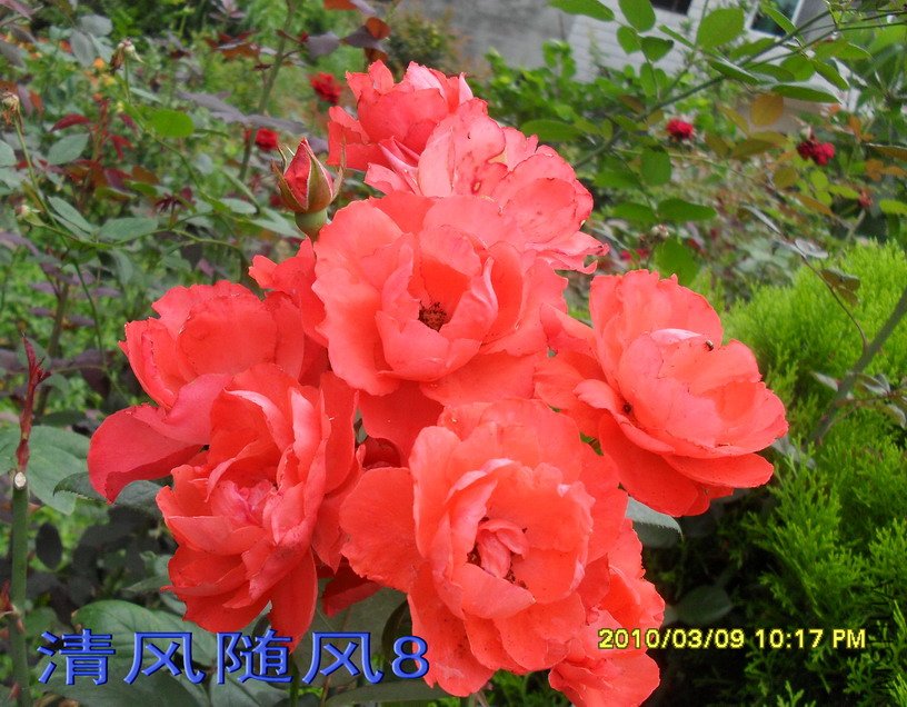 ���Ů��11 (6).jpg