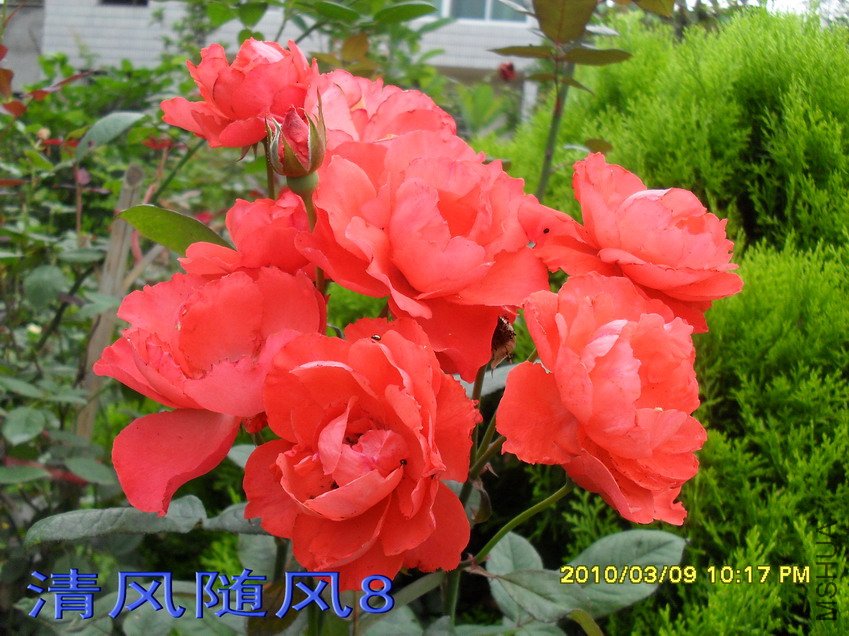 ���Ů��11 (5).jpg