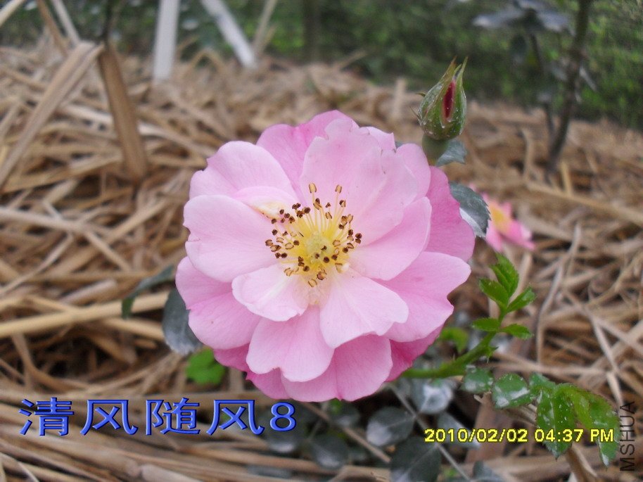 �ٷ�÷11 (8).jpg