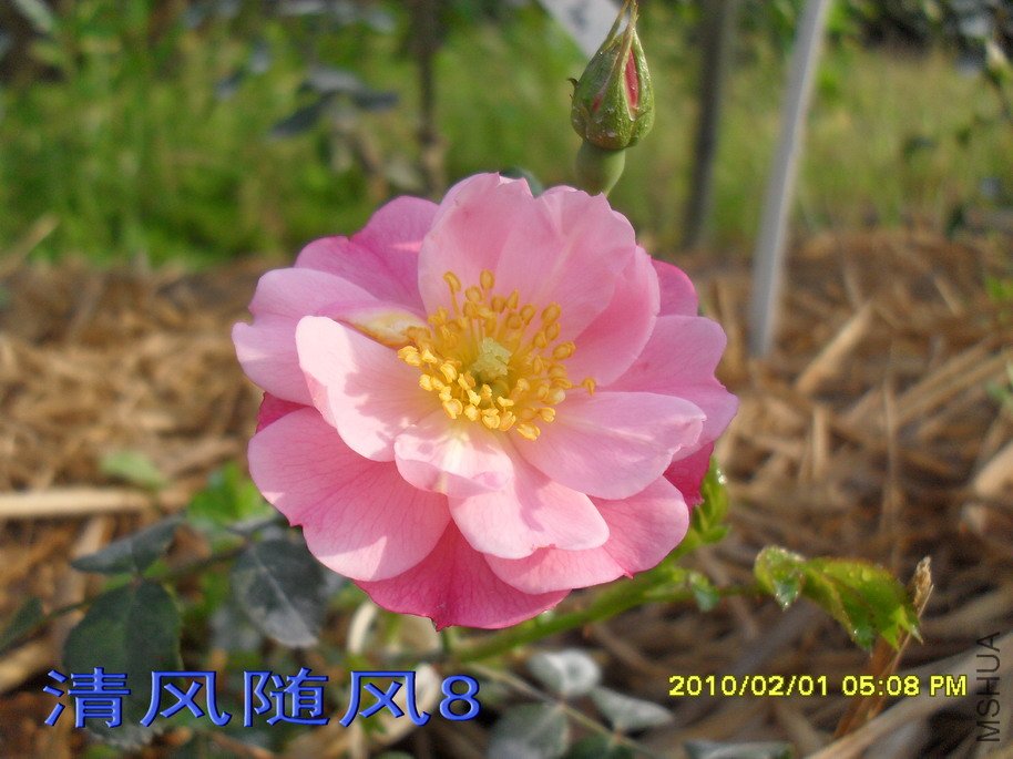 �ٷ�÷11 (6).jpg