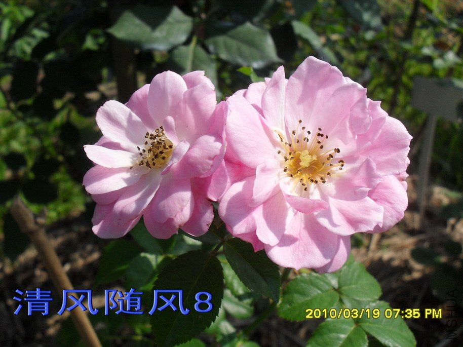 �ٷ�÷11 (4).jpg