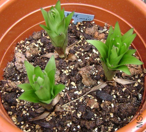 ���˿���