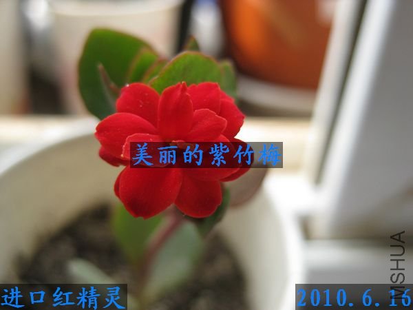 ��Ƭ 226.jpg