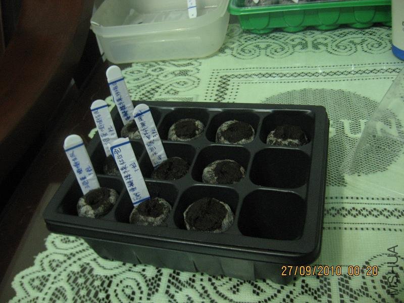 20100926��Ӱ 002.jpg